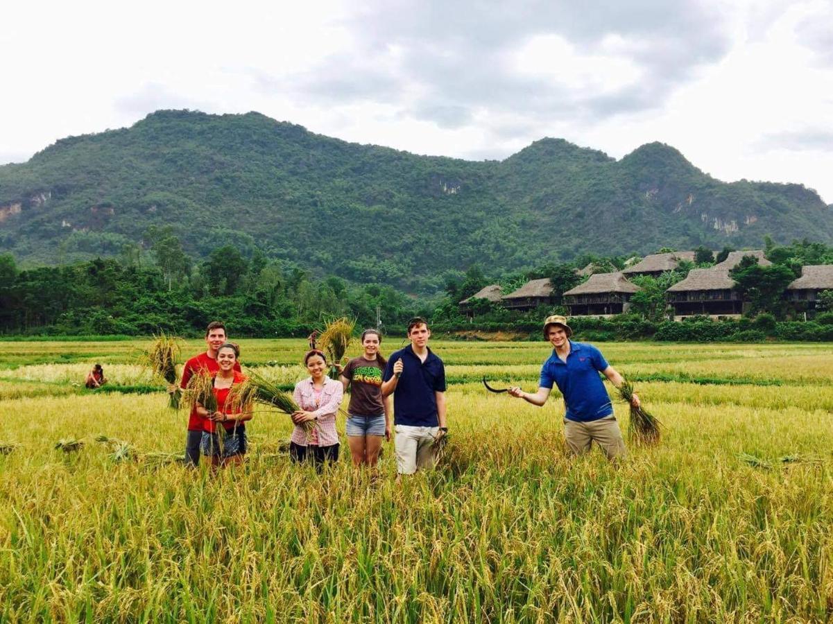 Hakuna Matata Homestay Mai Chau Eksteriør billede