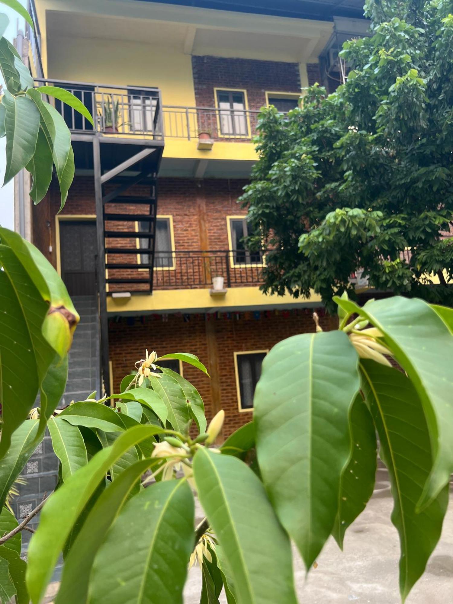 Hakuna Matata Homestay Mai Chau Eksteriør billede